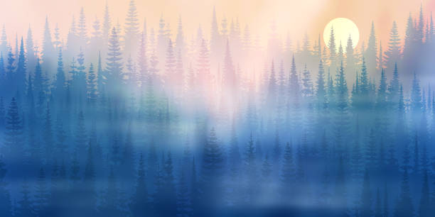 cold blue conifereous forest